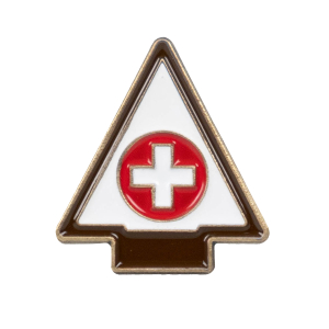 AOL First Aid award pin