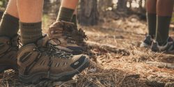 Brown hiking boots on a trail padded with pine needles.