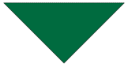 Troop448 Neckerchief