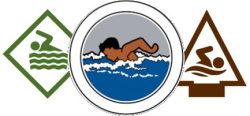 Images of the Aquanaut pin, the Swimming Merit badge, and the AOL Swimming pin