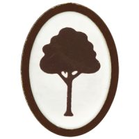 Into the Woods elective pin